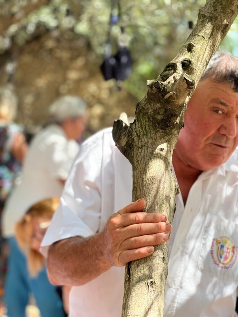 IMG 9901 - La Confrérie des Consuls de Narbonne