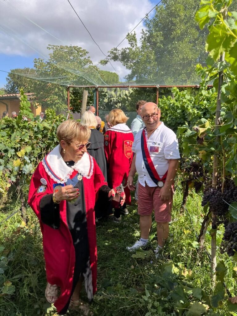 548827639 3672825269516884 3836879070265922182 n - La Confrérie des Consuls de Narbonne