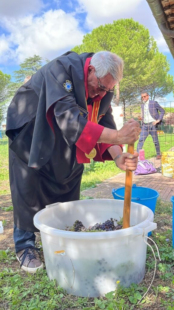 549601348 3672826846183393 4365327147211322383 n - La Confrérie des Consuls de Narbonne