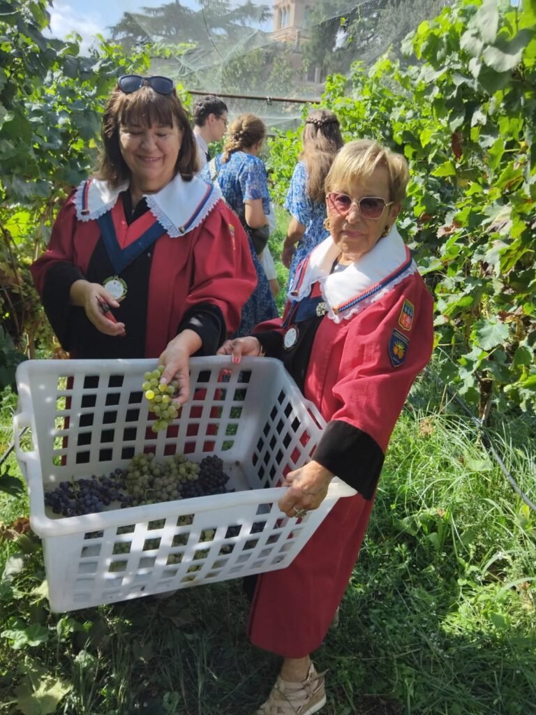 PHOTO 2025 09 17 16 30 08 - La Confrérie des Consuls de Narbonne