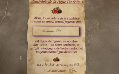 Les consuls de Narbonne en visite de la Confrérie de la Figue de Solliès-Pont